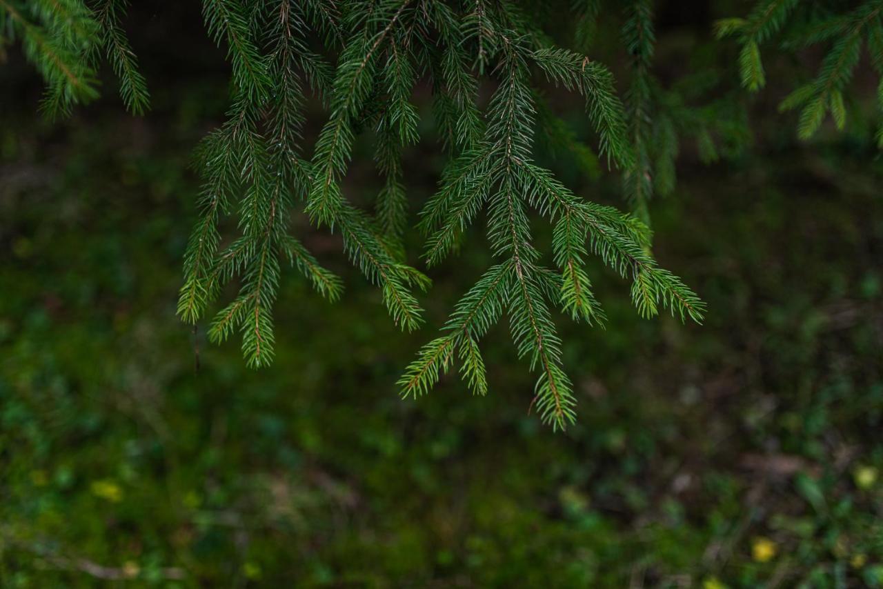 Fantastisch Im Naturpark Altmuehltal Greding Exterior photo